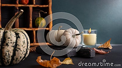 Cozy still life with small decorative pumpkins and aroma candle Stock Photo