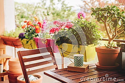 Cozy summer balcony with many potted plants Stock Photo