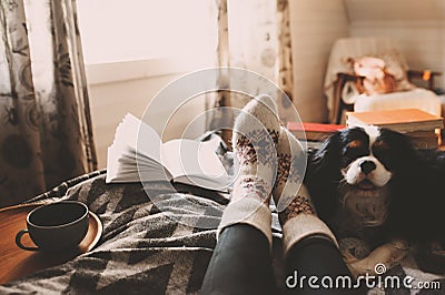 Cozy winter day at home with cup of hot tea, book and sleeping do Stock Photo