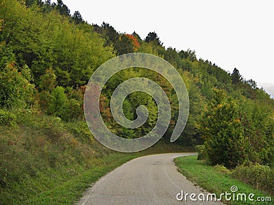 Cozzano Pineta province of Parma - Italy - Road in the woods in Autumn Stock Photo