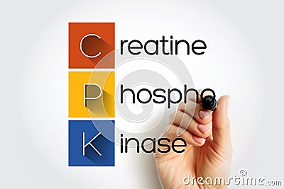 CPK Creatine Phosphokinase - enzyme expressed by various tissues and cell types, acronym text with marker Stock Photo