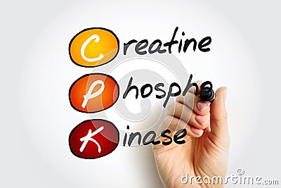 CPK Creatine Phosphokinase - enzyme expressed by various tissues and cell types, acronym text with marker Stock Photo