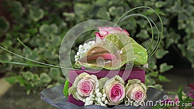 Creant Une Composition Florale Formee Comme Gateau Banque De Videos Video Du Abondant Ornement