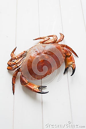 Crab Stock Photo