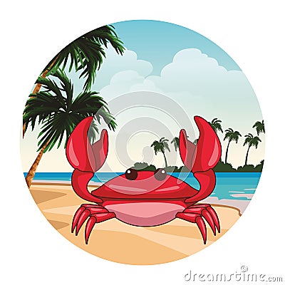 Crab beach animals cartoon Vector Illustration