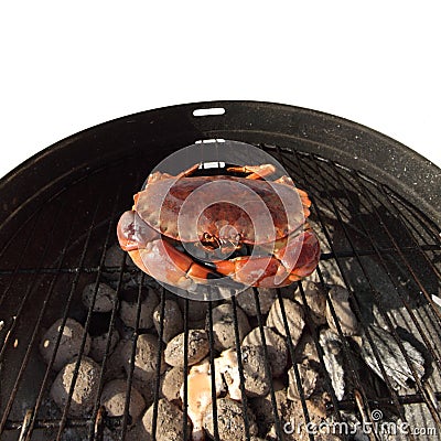 Crab on charcoal grill Stock Photo