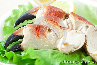 Crab Claws Stock Photo