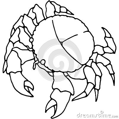 Hand drawn crab doodle Vector Illustration