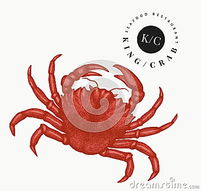 Crab illustration. Hand drawn vector seafood illustration. Engraved style crustacean. Vintage lobster image Cartoon Illustration