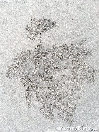 Crab nest, Circle and hole pattern in sand beach texture, Abstract background concept Stock Photo