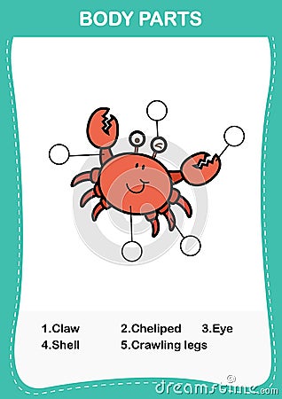 Crab vocabulary part of body,Write the correct numbers of body parts Vector Illustration