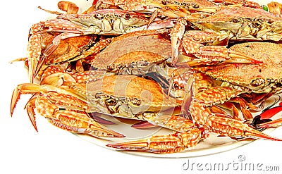 Crabs.Hot Steamed Crabs on a plate isolated on white background,Serrated mud crab, business people group Stock Photo