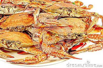 Crabs.Hot Steamed Crabs on a plate isolated on white background,Serrated mud crab, business people group Stock Photo
