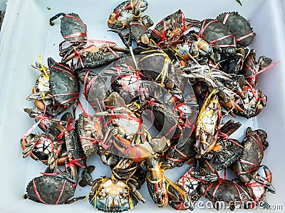 Crabs raw fresh in market Stock Photo