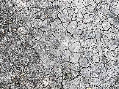 crack dryness soil ground floor background. Stock Photo