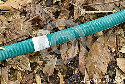 Crack green watering rubber tube repairing by white tape roll with dry leaf on frontyard garden ground Stock Photo
