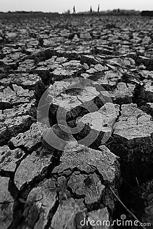 Dry and crack land Stock Photo