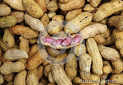 A crack peanut on the top of pile of peanuts Stock Photo