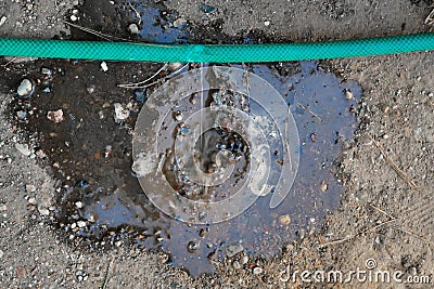 Crack in the watering hose. Damaged hose Stock Photo