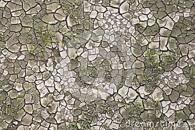 Cracked, arid, and desolate ground, a consequence of desertification and an arid climate - Infertile land Stock Photo