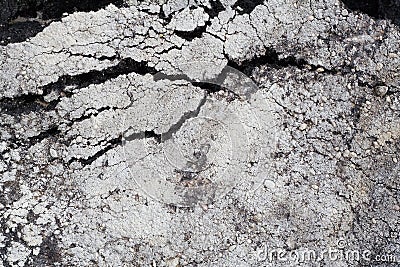 Cracked asphalt Stock Photo