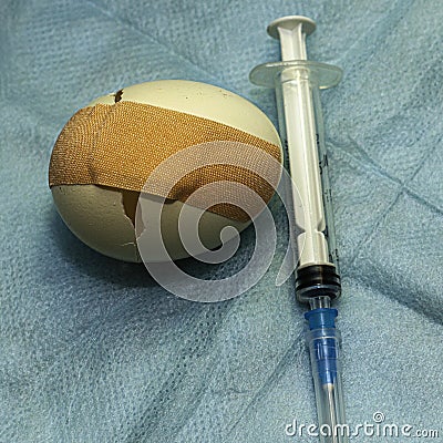 a cracked chicken egg sealed with a medical plaster next to a syringe concept vaccination immunization medical care Stock Photo