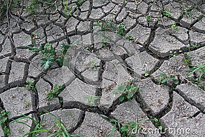 Cracked choppy ground layer on river bank, caused by rapid water level change and drought after sedimentation of river mud. Stock Photo