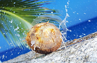 Cracked coconut Stock Photo