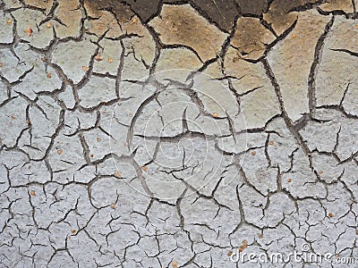 Cracked crust of dried silt. Global warming. Background image Stock Photo
