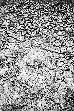 Cracked dry silt Stock Photo