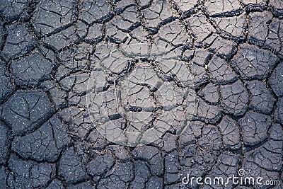 Cracked dryed out earth Stock Photo