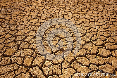 Cracked Earth. Stock Photo