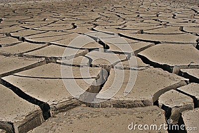 Cracked earth Stock Photo