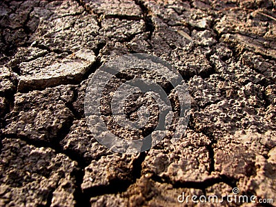 Cracked Earth Stock Photo