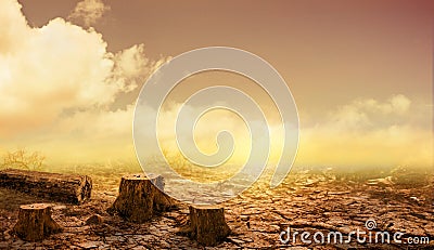 Cracked earth from arid drought weather in dam or river, hot summer nature, dead stump tree on cracked land, surface clay soil Stock Photo