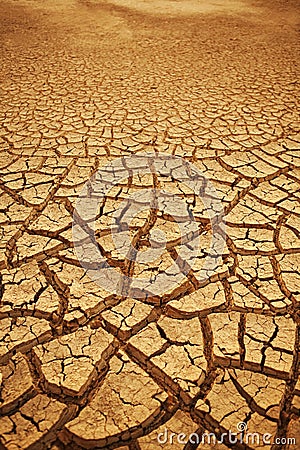 Cracked earth background Stock Photo