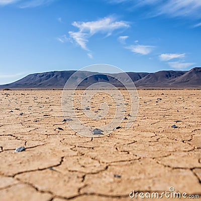 Cracked Earth Stock Photo