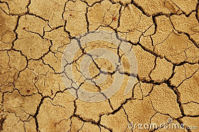 Cracked earth texture Stock Photo