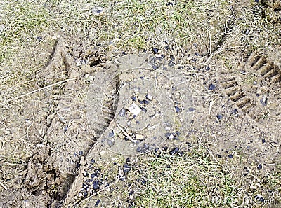 Cracked Footprint floor Stock Photo