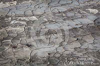 Cracked gray earth Stock Photo