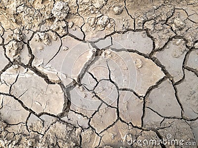 Cracked Ground. Aridity. Soil in dry season, hot summer. Drought of earth, background, patterns, texture. Top view. Stock Photo