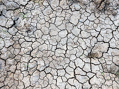 Cracked ground Stock Photo