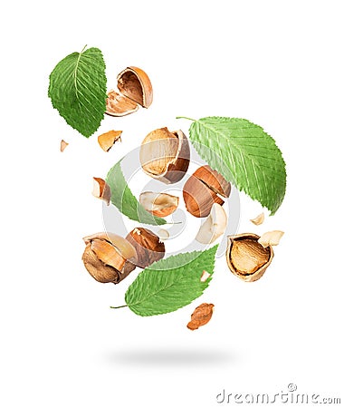 Cracked hazelnuts with leaves fall down on white background Stock Photo