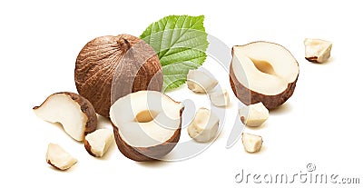 Cracked hazelnuts, whole, halves and small pieces isolated on white background Stock Photo