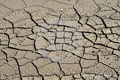 Cracked land Stock Photo