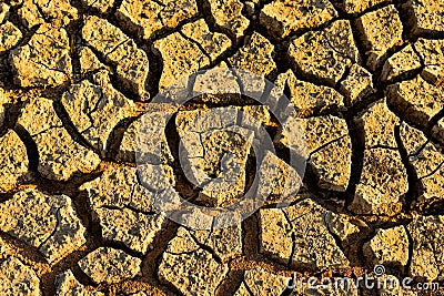 Cracked land background top view Stock Photo