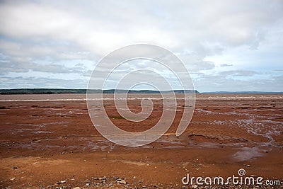 Cracked mud flats Stock Photo