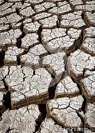 Parched land Stock Photo