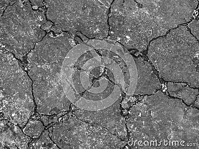 Cracked pavement Stock Photo