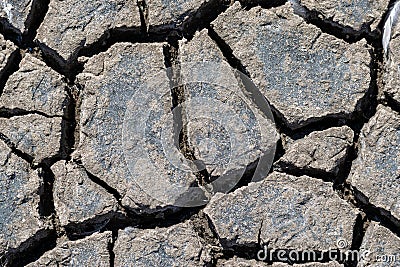 Cracked soil texture Stock Photo